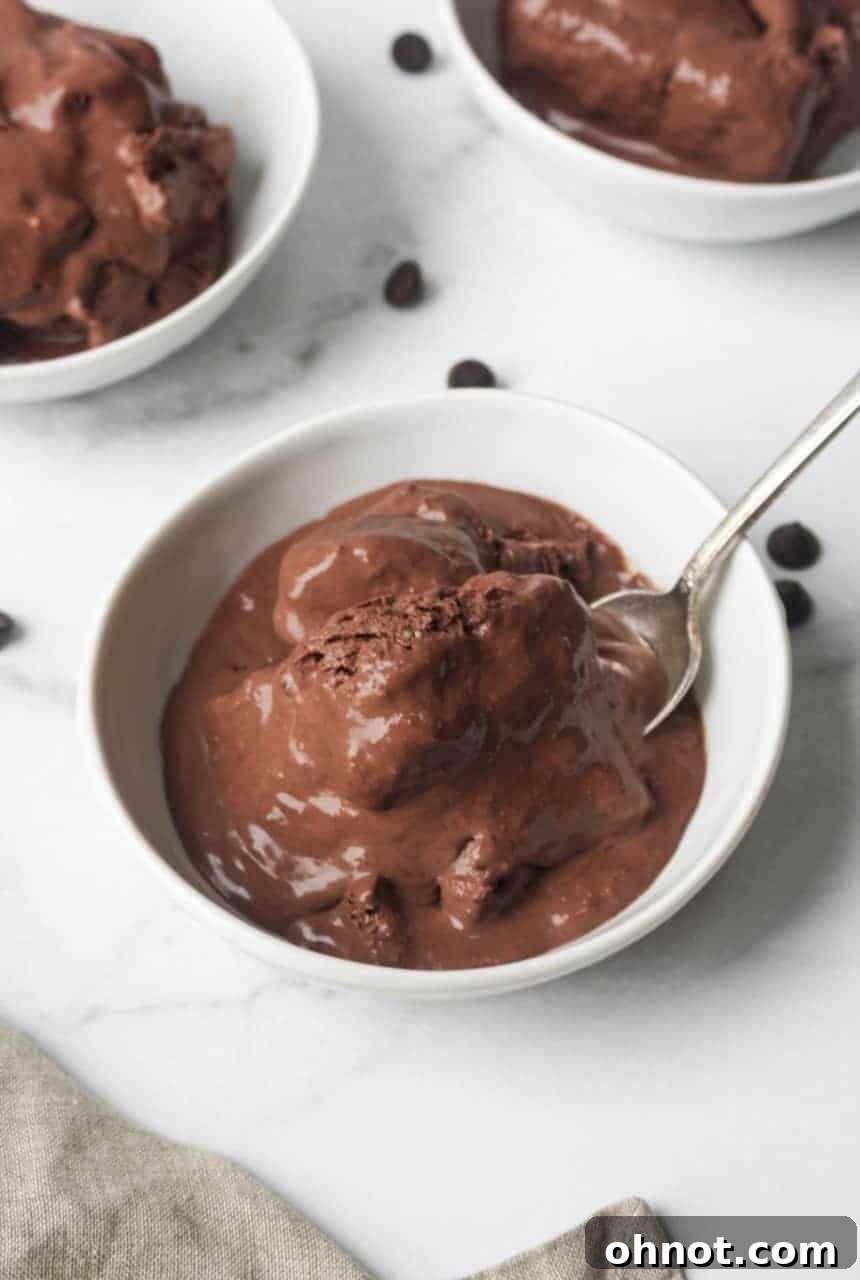 Close-up of the vegan chocolate ice cream mixture being poured into a loaf pan.