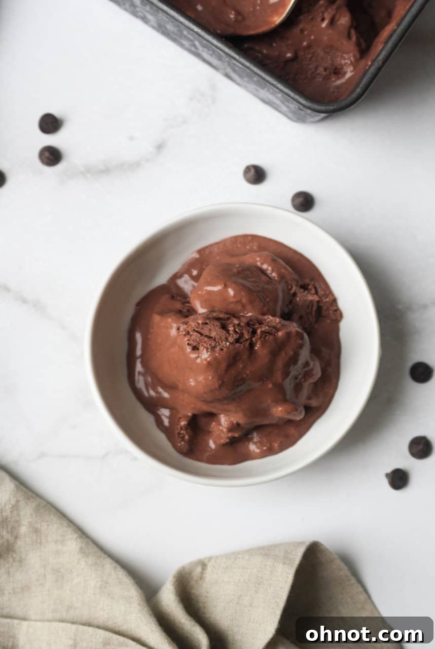Scoops of vegan chocolate ice cream in a bowl, garnished with chocolate chips.