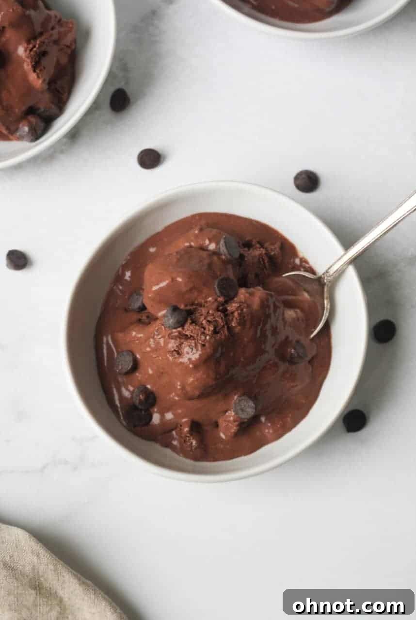 A final shot of the no-churn vegan chocolate ice cream in a white bowl with a spoon.