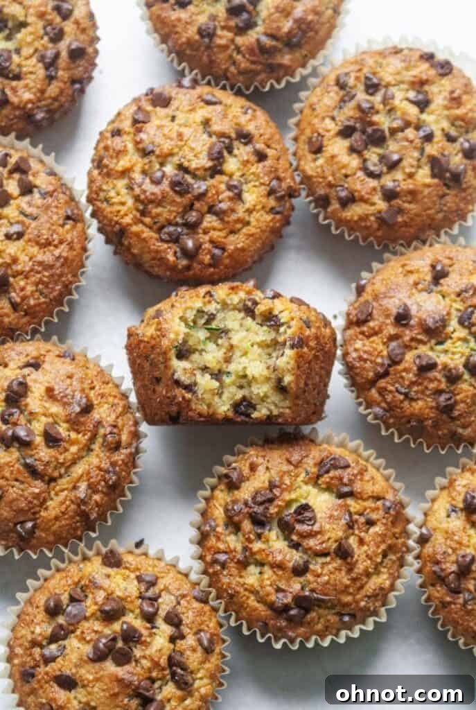 Paleo chocolate chip zucchini muffins on a neutral backdrop, showcasing their golden-brown tops and moist texture.