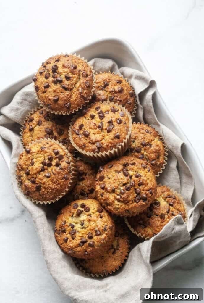A basket full of freshly baked Paleo chocolate chip zucchini muffins, ready to be enjoyed.