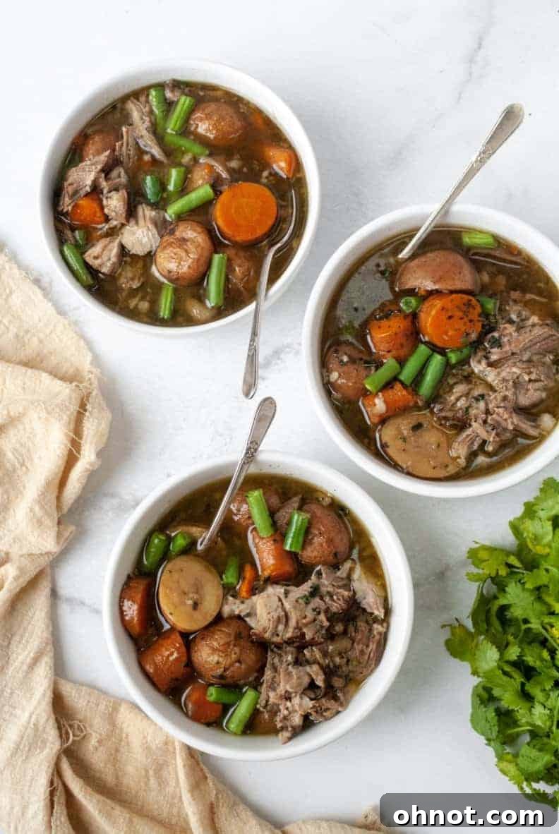 Overhead shot of Whole30 Vegetable Pork Soup in a serving bowl