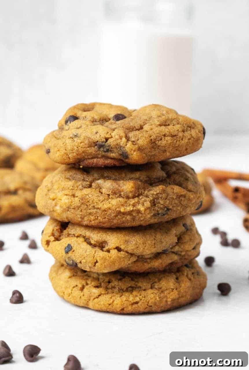 Freshly baked Paleo Gingerbread Chocolate Chip Cookies arranged beautifully on a cooling rack, showcasing their golden edges and soft centers.