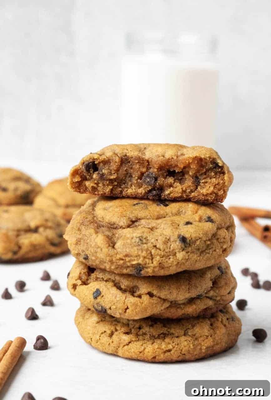 A stack of beautifully golden Paleo Gingerbread Chocolate Chip Cookies on a white plate, ready to be enjoyed.
