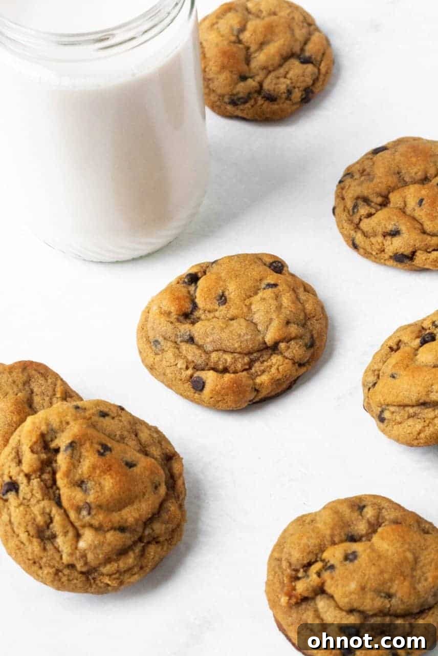 Delicious Paleo Gingerbread Chocolate Chip Cookies beautifully arranged on a rustic wooden board, ready for serving.