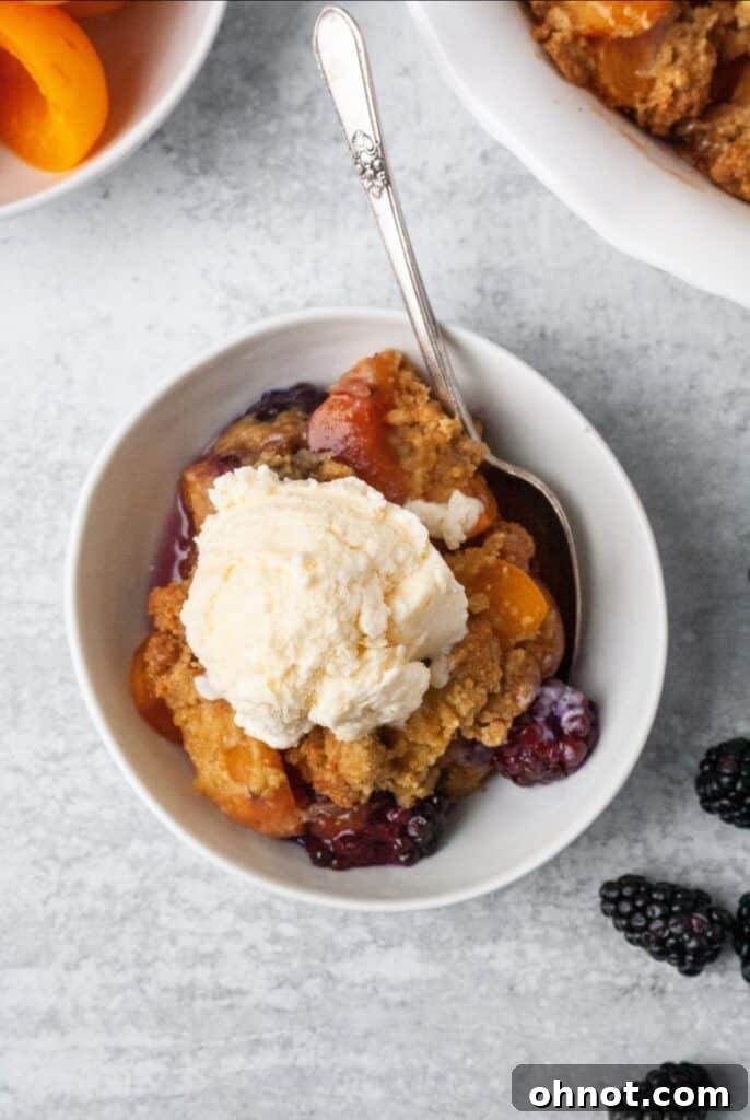 A serving of Paleo Vegan Apricot Blackberry Cobbler in a white bowl, topped with a scoop of dairy-free vanilla ice cream.