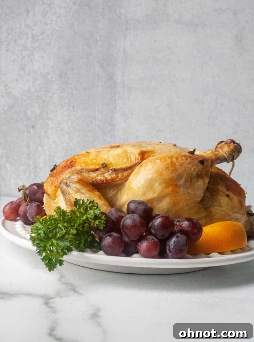Whole chicken seasoned with herbs and spices, ready for the Instant Pot