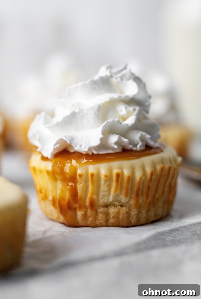 Mini Paleo cheesecakes with a creamy texture, ready to be topped.