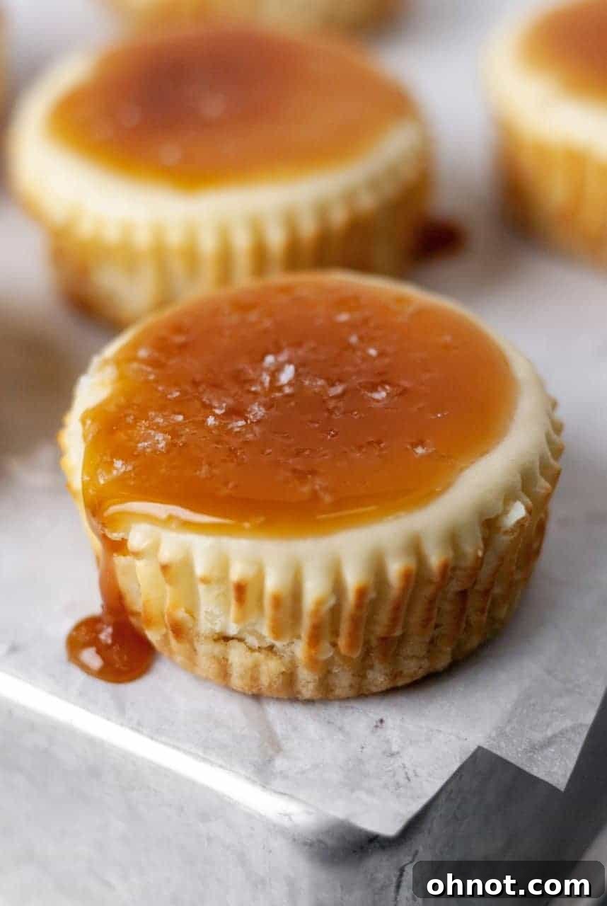 A perfectly portioned mini Paleo cheesecake with a delicious salted caramel topping.