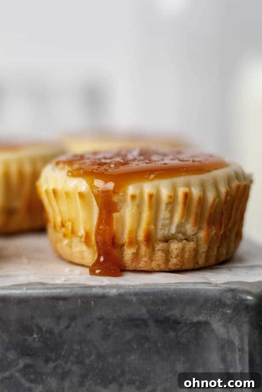 Beautifully garnished mini Paleo cheesecake with salted caramel and whipped cream.