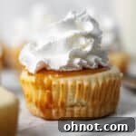 Paleo Mini Cheesecakes on parchment paper.