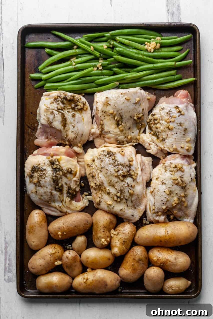 A vibrant sheet pan fresh out of the oven, showcasing perfectly cooked chicken thighs, roasted fingerling potatoes, and bright green beans, ready to be served.