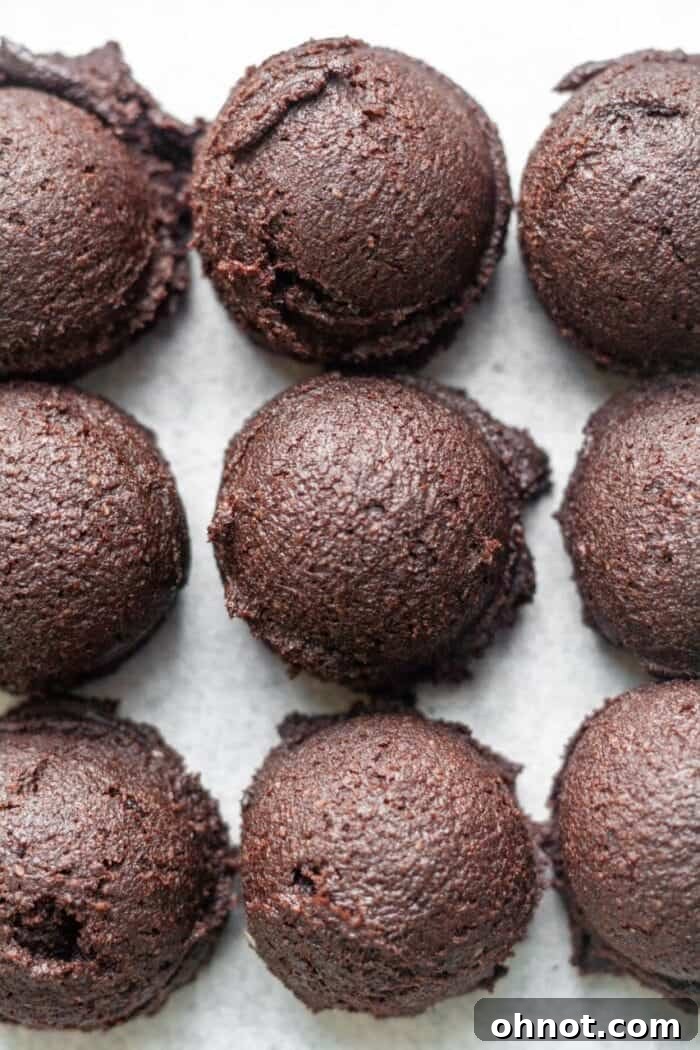 Balls of chocolate dough rolled in powdered sugar.