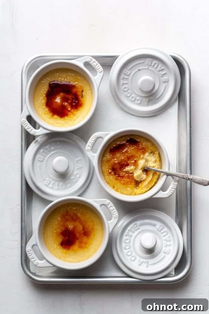 A baking sheet filled with Gluten Free Crème Brûlée in white ramekins.