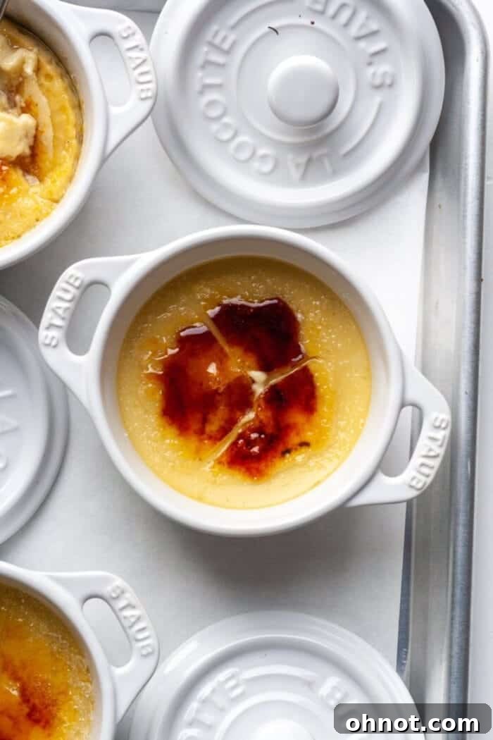 Custard in ramekins