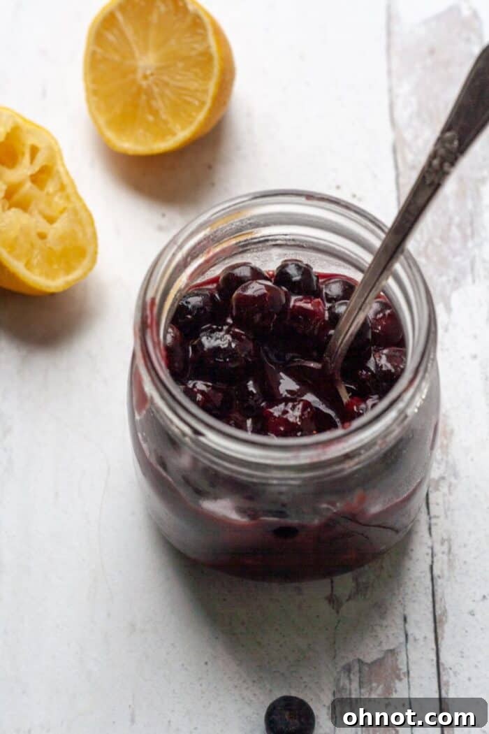 A rustic display of a jar of Vegan Blueberry Jam, garnished with fresh lemon slices and berries.
