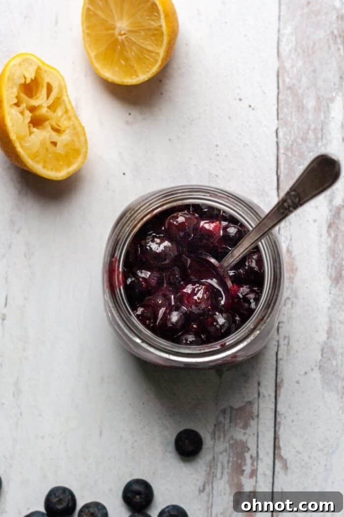 A charming close-up of a jar filled with rich, purple Vegan blueberry jam.