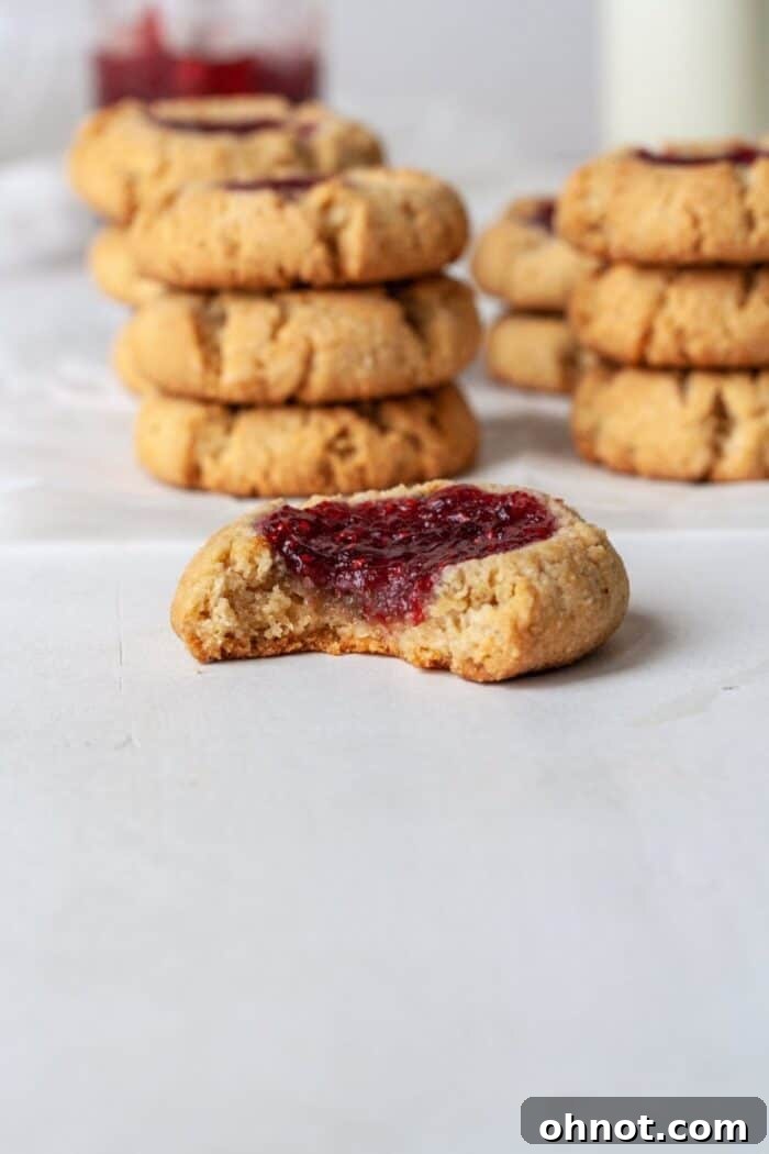 A perfectly baked vegan thumbprint cookie with luscious raspberry jam filling, ready to be savored.