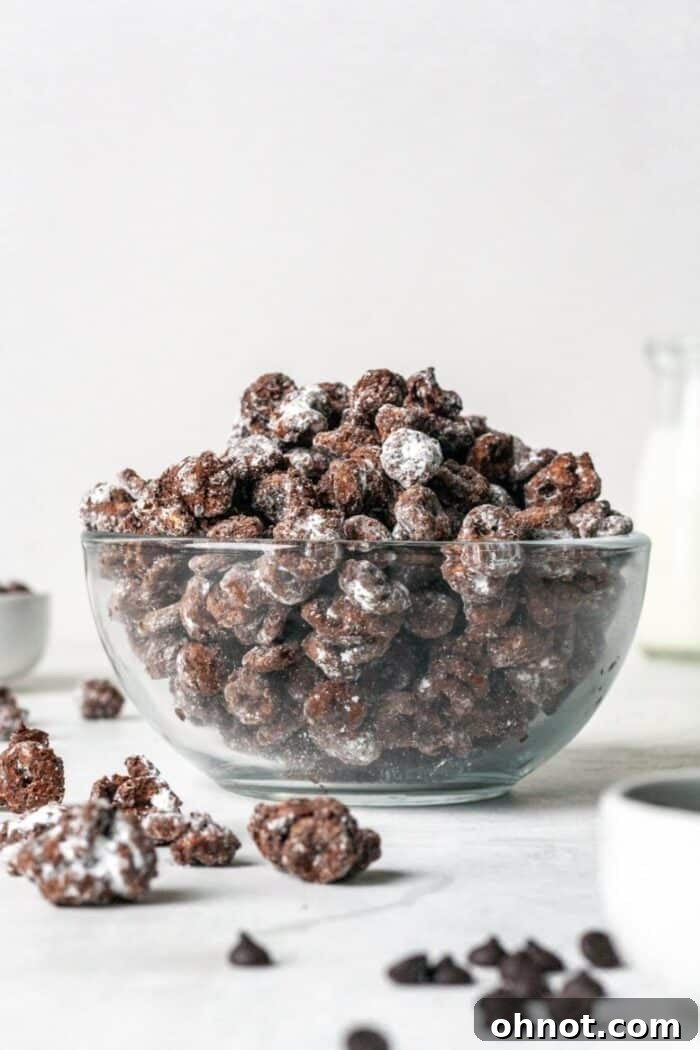 A bowl filled with Healthy Puppy Chow, perfectly coated and ready to eat.