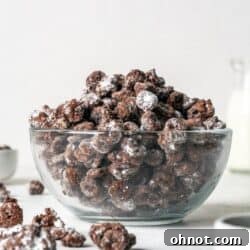A bowl filled with Healthy Puppy Chow.