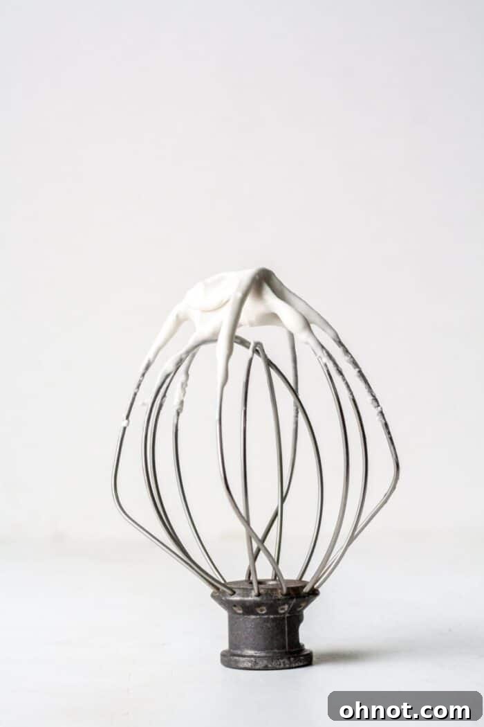 A stand mixer with freshly whipped vegan vanilla frosting.