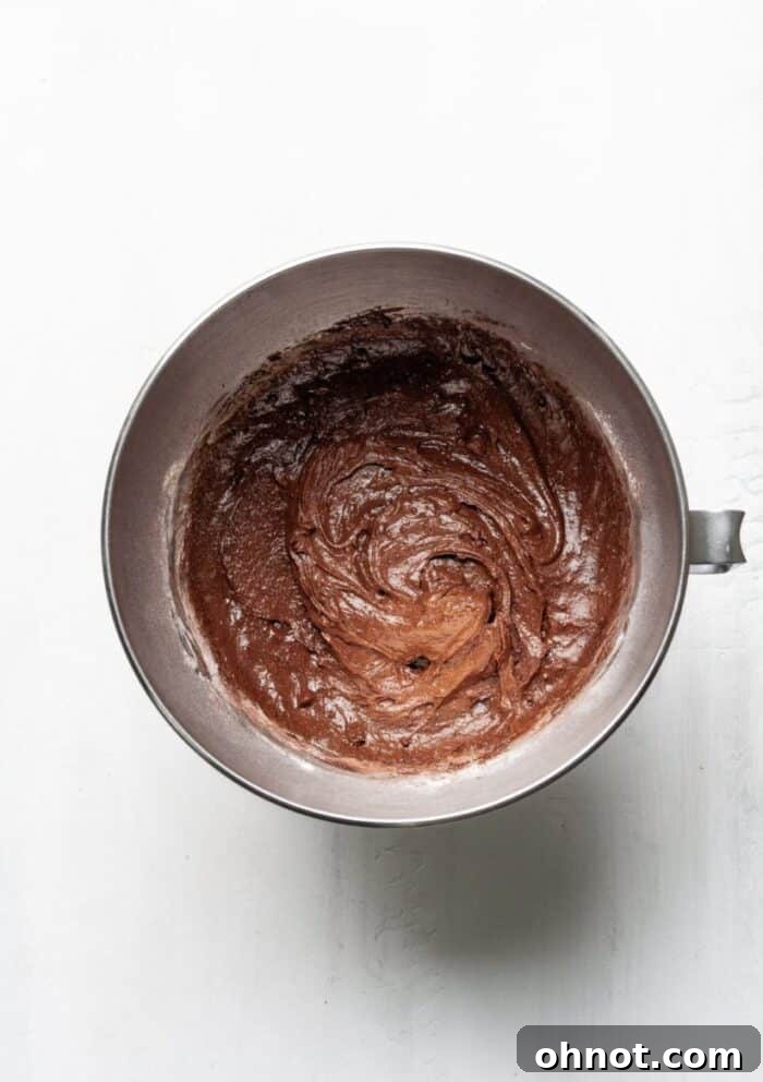 Thick, dark brownie dough in a mixing bowl, ready for baking