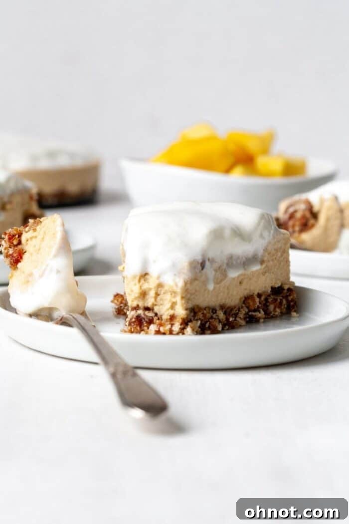 Vegan mango cheesecake on a white plate, garnished with fresh mango slices