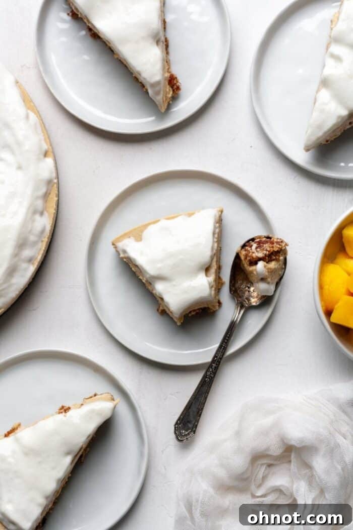 Beautifully presented vegan mango dessert slices
