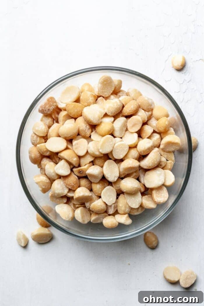 A ceramic bowl filled with raw macadamia nuts, ready for blending into nut butter.