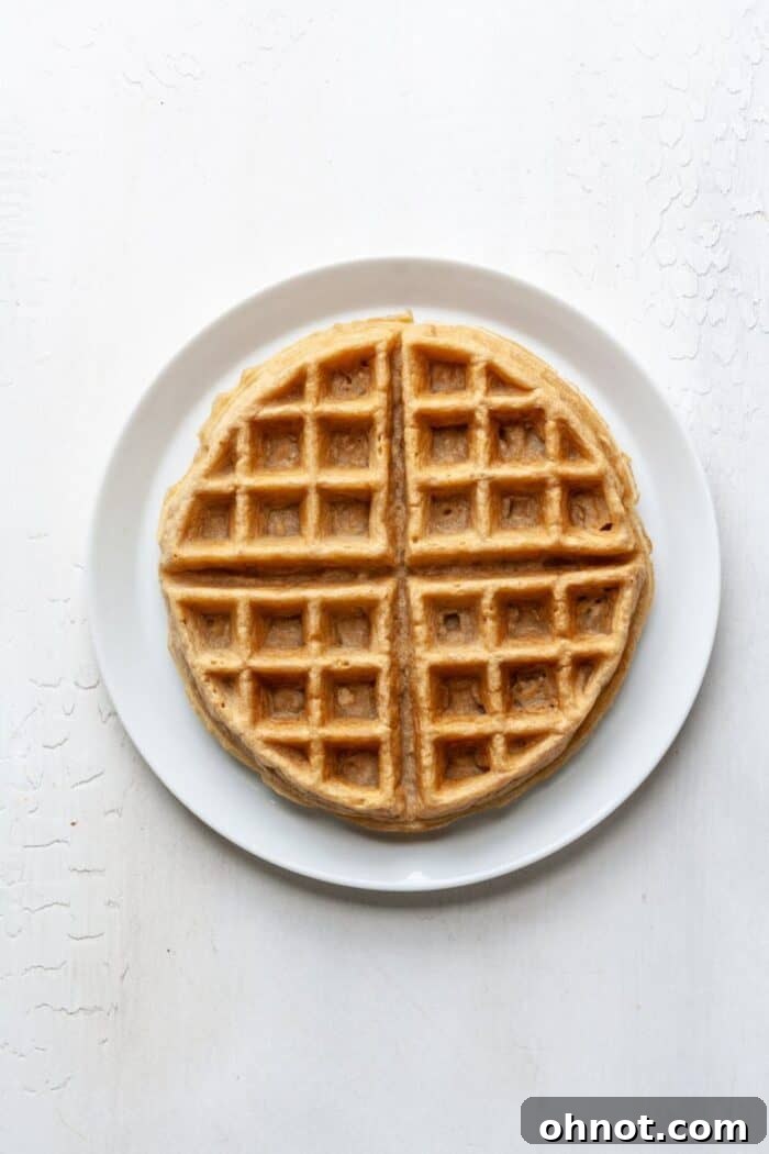 A single perfectly cooked Paleo waffle, golden and crispy, sitting on a pristine white plate.