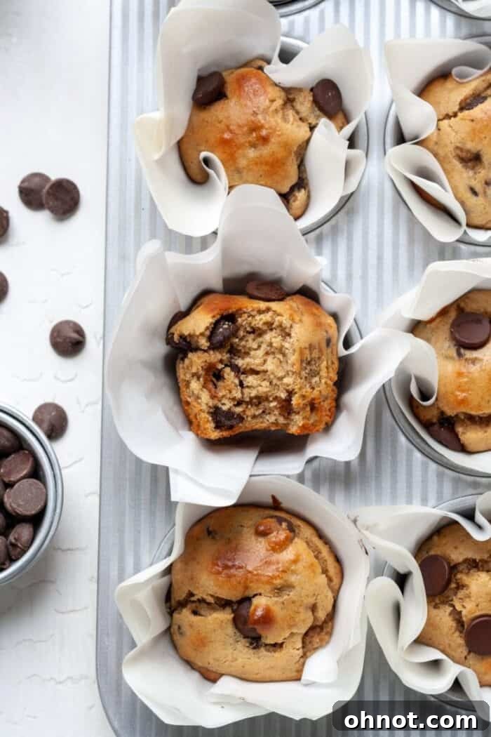 Almond flour banana muffins with chocolate chips