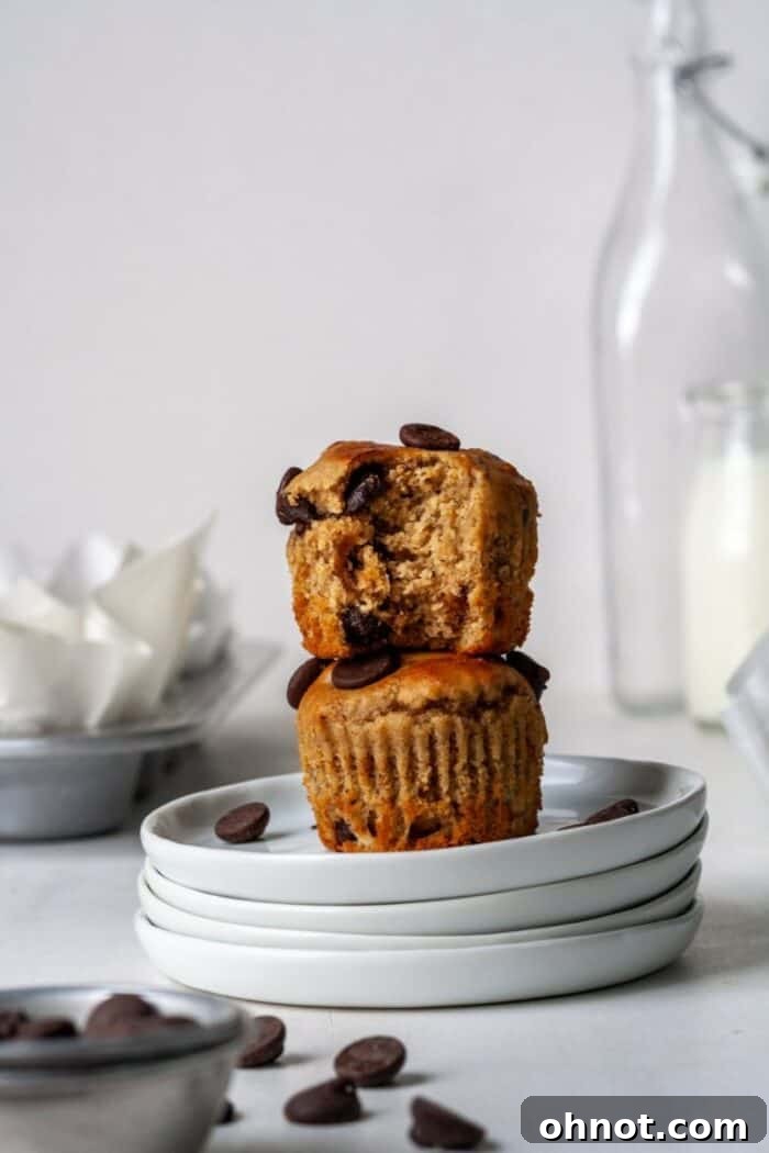 Almond flour banana muffins with dark chocolate chips