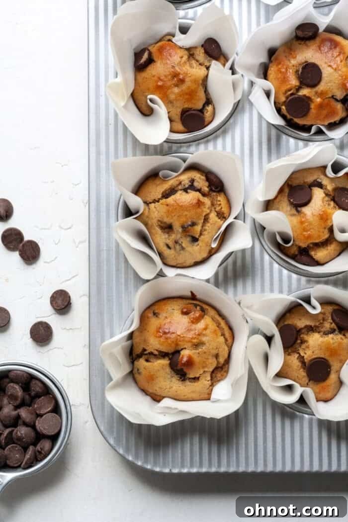 Paleo banana muffins with chocolate chips