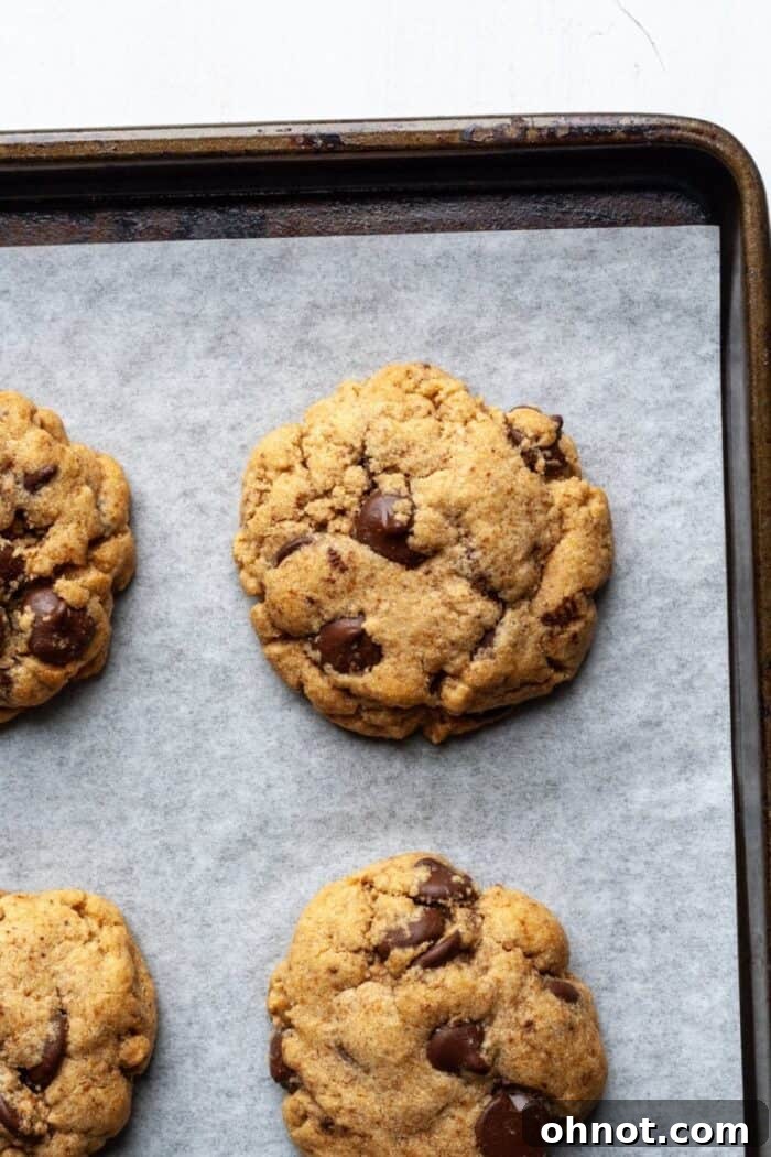 Paleo cookies with dark chocolate chips fresh from the oven