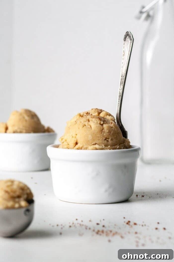 Close-up of Snickerdoodle edible cookie dough in a bowl, showing its smooth, appealing texture