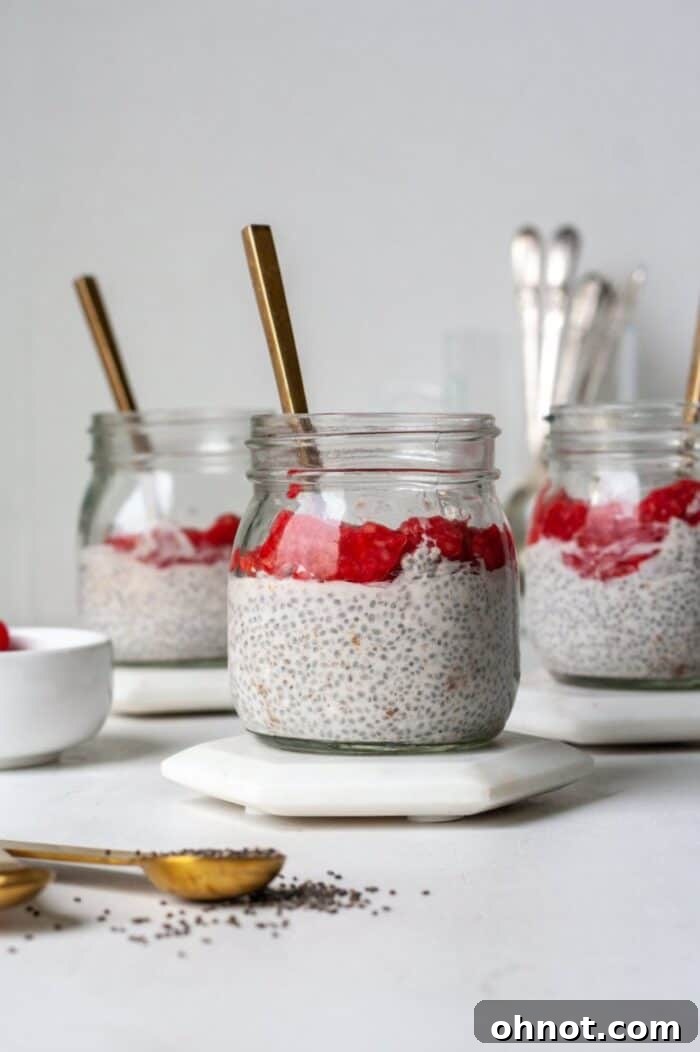 Chia pudding with fresh raspberries and mint garnish.