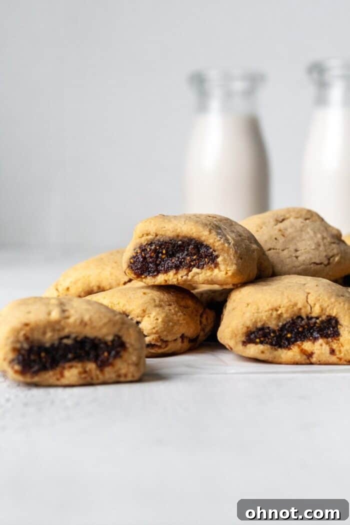 Several homemade Paleo Fig Newtons arranged beautifully on a gray backdrop, ready to be enjoyed as a healthy snack.