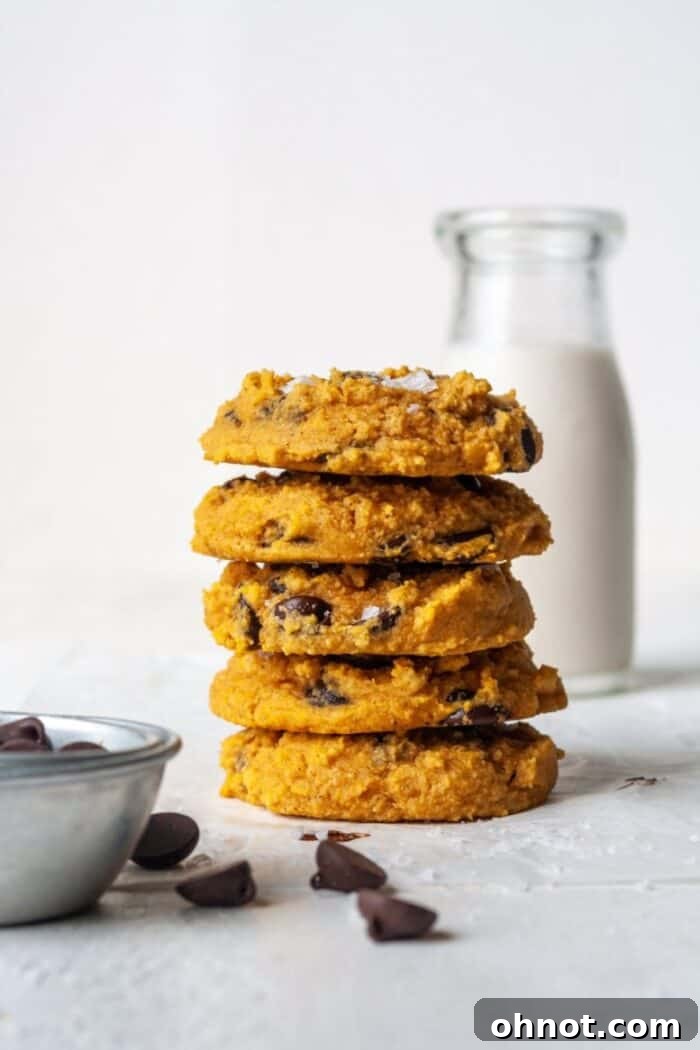 Stack of Paleo pumpkin cookies with chocolate chips, garnished with sea salt