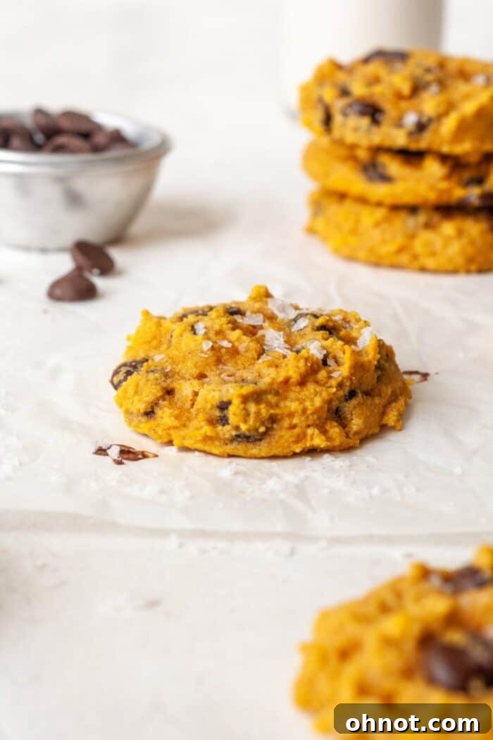 Close-up of a Paleo almond flour pumpkin chocolate chip cookie