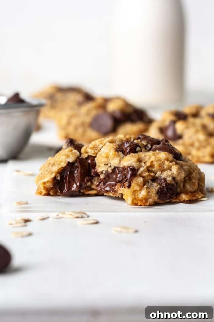 Close-up of baked vegan chocolate chip oatmeal cookies on a cooling rack, showing their golden brown edges and melty chocolate.