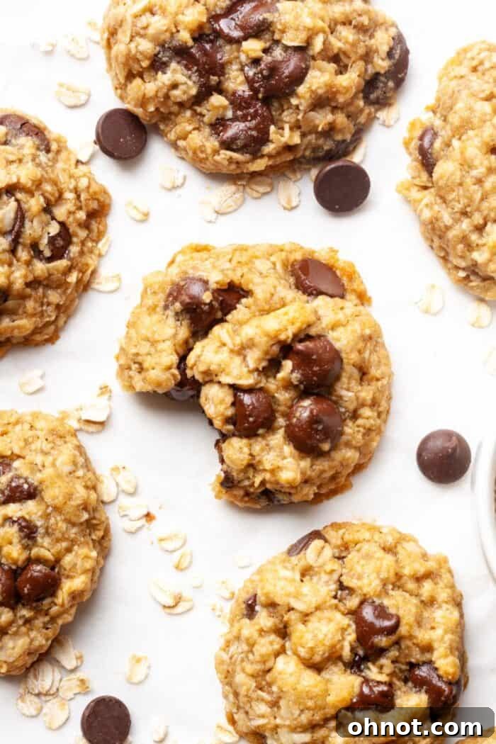 A close-up of a single vegan oatmeal chocolate chip cookie, showcasing its textured surface and delicious appearance.