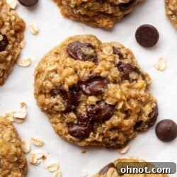 Vegan oatmeal chocolate chip cookies