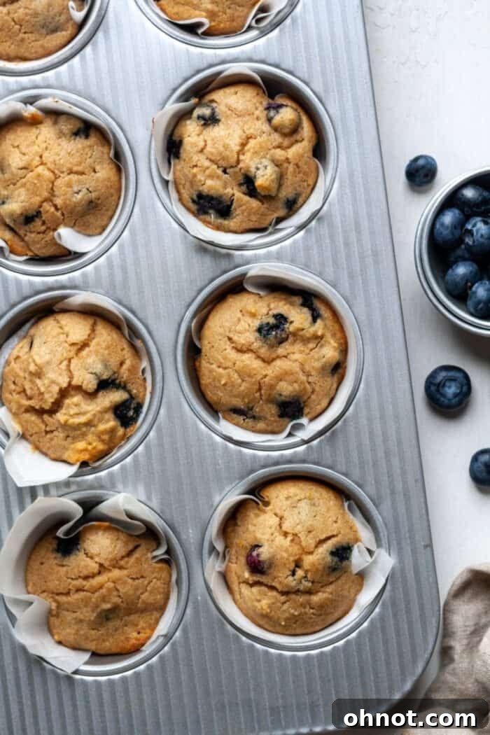 Freshly baked Cassava Flour Blueberry Lemon Muffins cooling in the muffin pan, their golden tops and tender texture promising a delicious gluten-free experience.