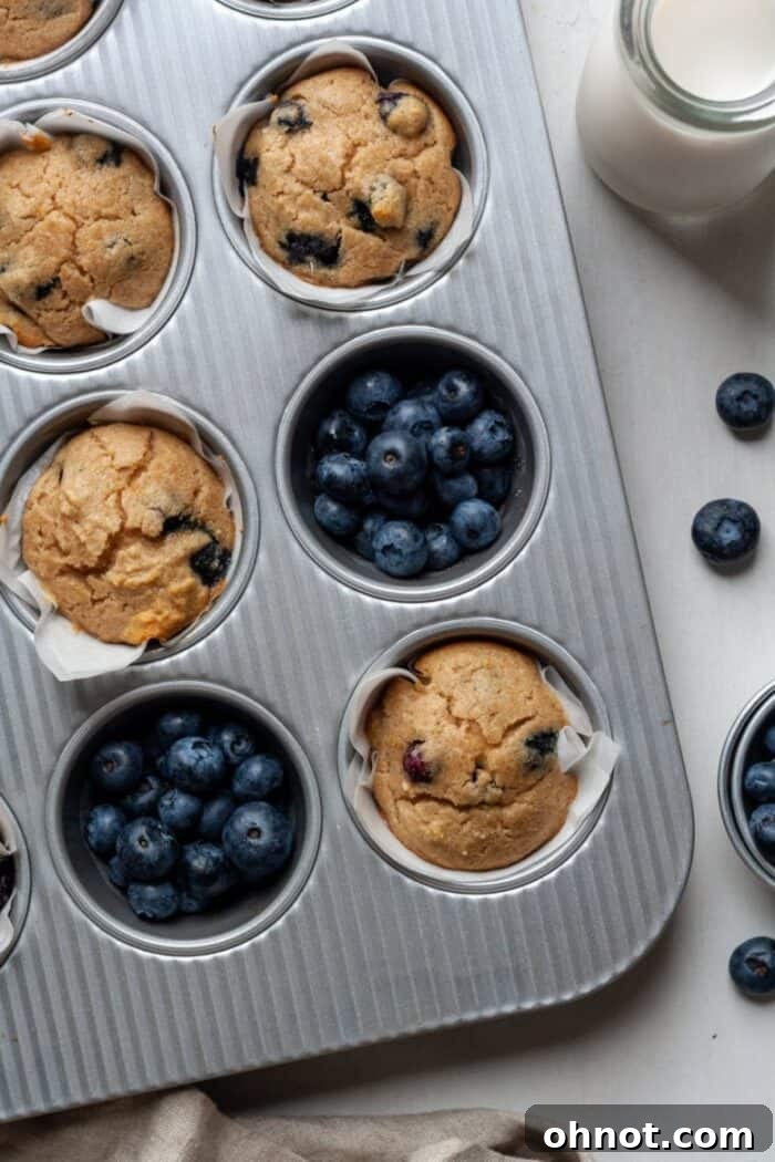 A batch of golden, gluten-free blueberry muffins cooling in a pan, showcasing their perfectly baked texture and inviting appearance.