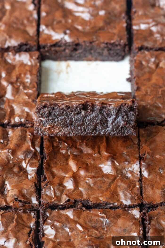Dairy free brownies batter being mixed in a bowl, showcasing its rich chocolate color and smooth consistency