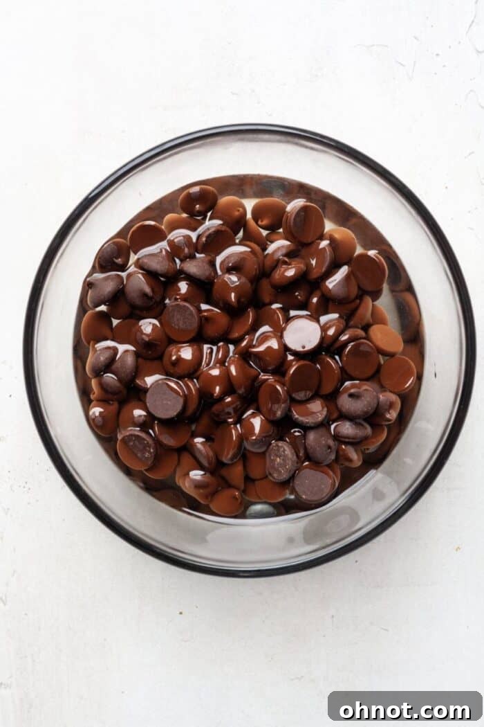 Melted chocolate and coconut oil in a bowl, showing the smooth, dark liquid texture