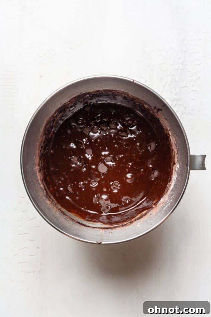 Chocolate chip brownie batter in a bowl, showing the additional chocolate chips folded into the rich mixture