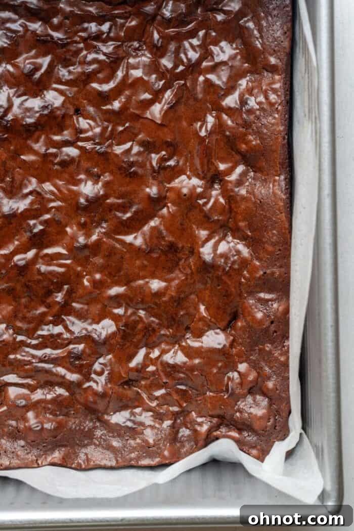 Freshly baked brownies cooling in the pan, showing their perfectly set crackly top
