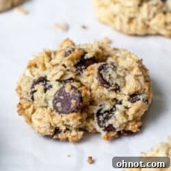 Coconut flour oatmeal cookies with chocolate chips