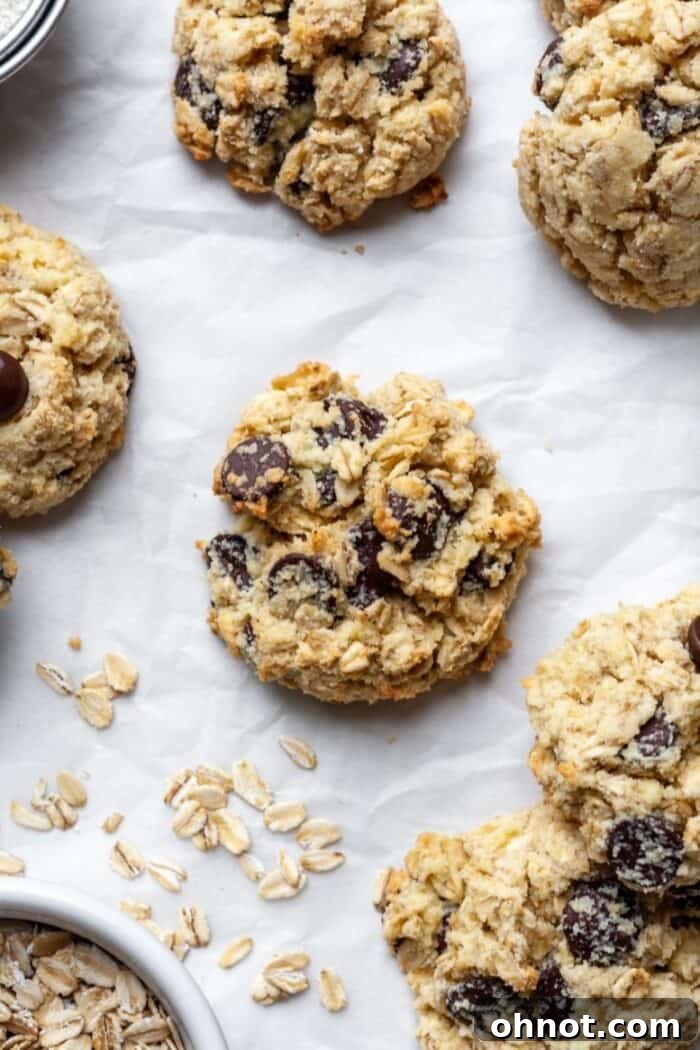 Nut free cookies with oats and chocolate chips